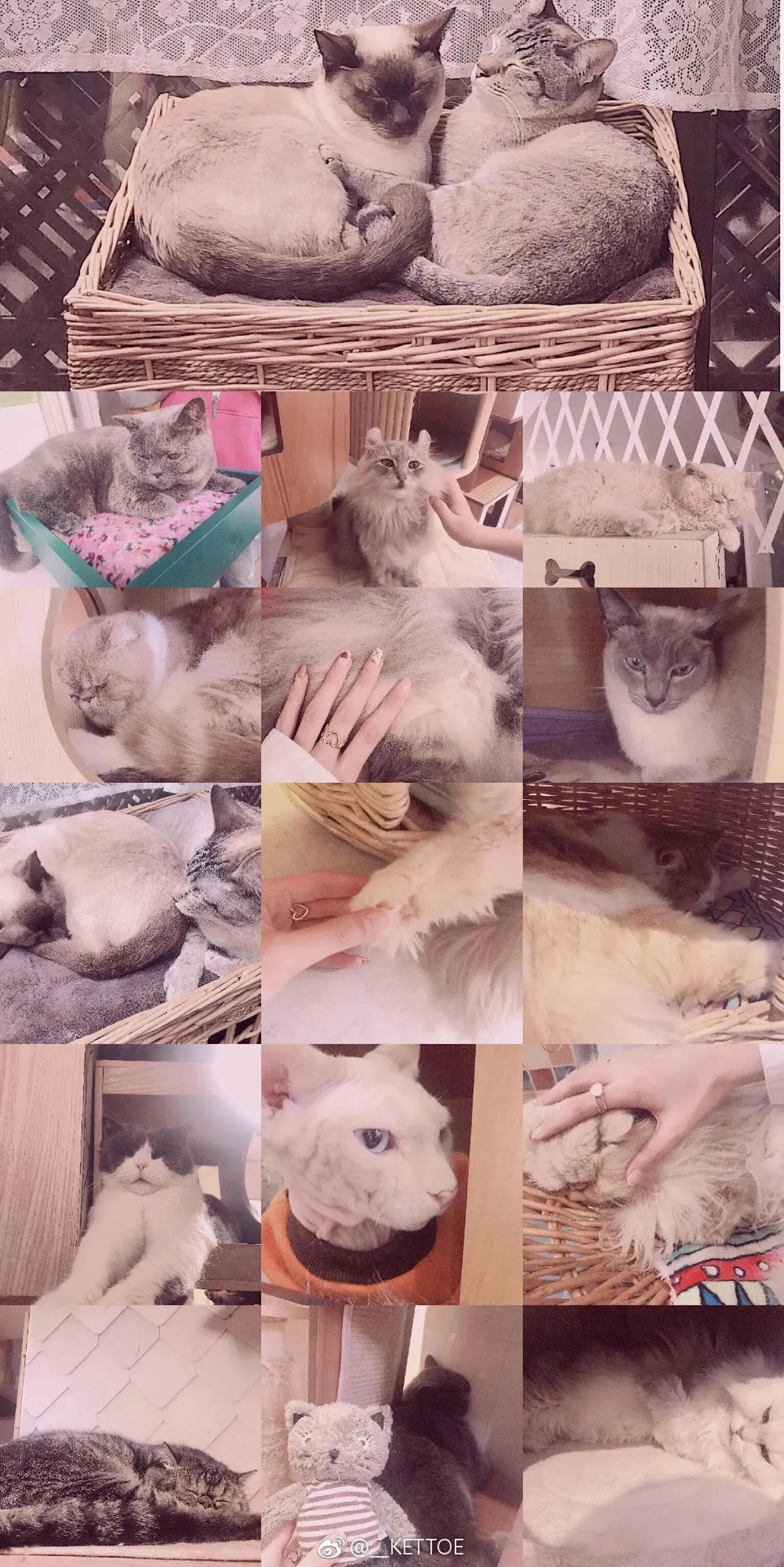 Kettoe – NO.01 微博配图[4] [75P]插图8